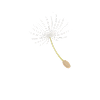 watage