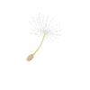 watage
